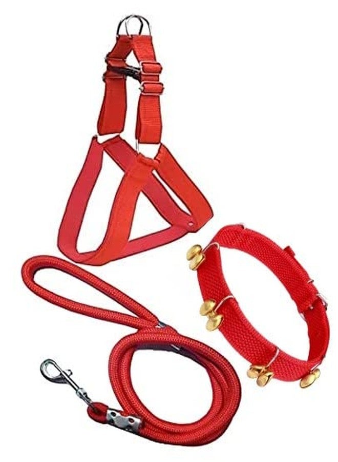 KittuPet Ghungroo Dog Combo Pack of Harness, Neck Collar Belt and Rope Set (Black, Medium) (Red Ghungroo)